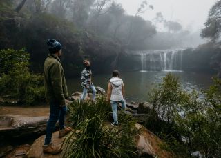 Three friends walking, Carrington Falls, Budderoo National Park 
