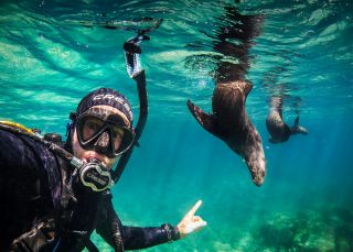 Underwater Safaris - Credit: Thurston Photo