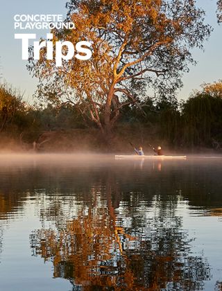 Discover the quaint town of Albury, The Murray