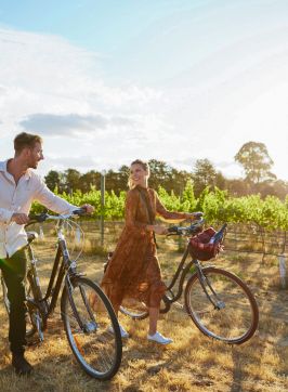 Clonakilla Wines vineyard in Murrumbateman, Yass Area in Country NSW