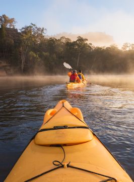 Kayaking in Ganguddy-Dunns Swamp, Wollemi National Park