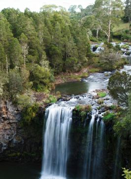 Dangar Falls, near Dorrigo