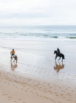 Aerial shot of horses on the beach with Zephyr Horses, Byron Bay