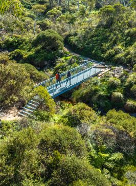 People enjoying the Grand Cliff Top Walk, Wentworth Falls