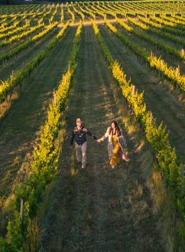 Couple walking through the vineyards at Ross Hill Wines, Orange