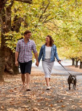 Couple enjoying a walk through tree-lined Sampson Street, Orange