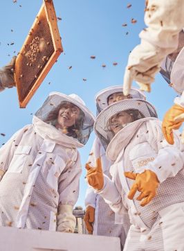 People learning about beekeeping at Bowral Beekeeping, Bowral