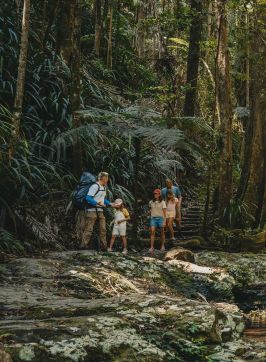 谷の岩に昇る太陽、ニンビン・ロックス、ニンビン - 写真提供：Visit Lismore