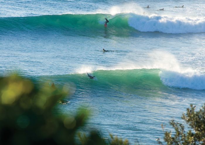 Surfing at Angourie - Yamba - Clarence Valley 