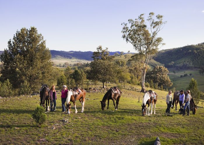 A Wade Horses Bingara trail-riding tour, near Bingara