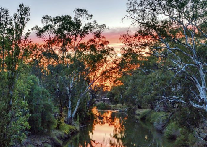 A sunrise reflecting off the Lachlan River, Condobolin, NSW