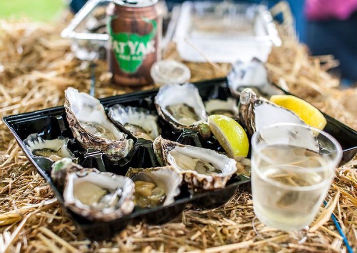 뉴사우스웨일즈주 사우스 코스트 의 나루마(Narooma) 굴 축제에서 선보이는 굴