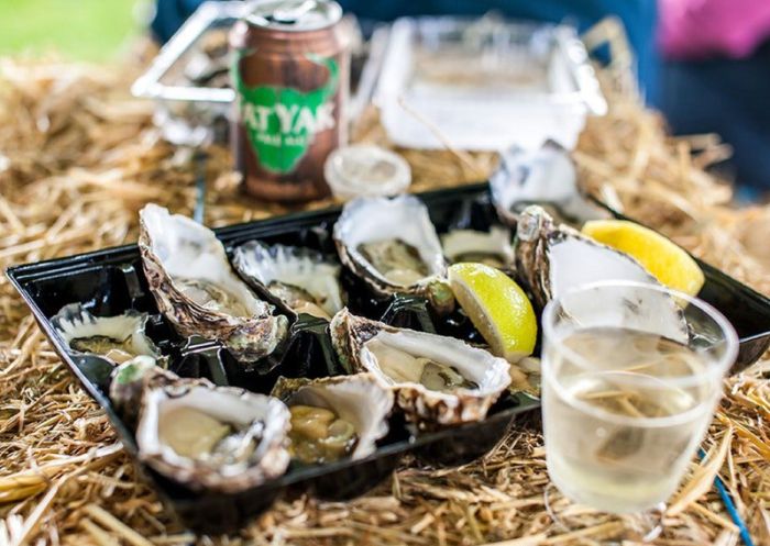 Oysters presented in the Narooma Oyster Festival on the NSW South Coast