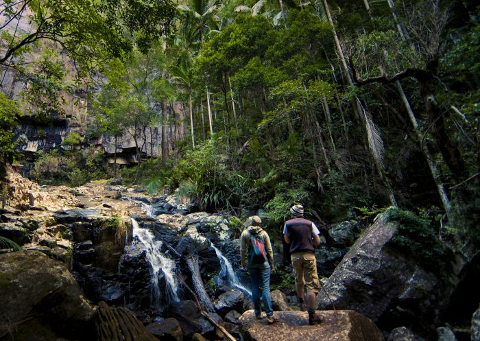 ニューサウスウェールズ州ナイトキャップ国立公園のプロテスターズ滝を眺めるカップル