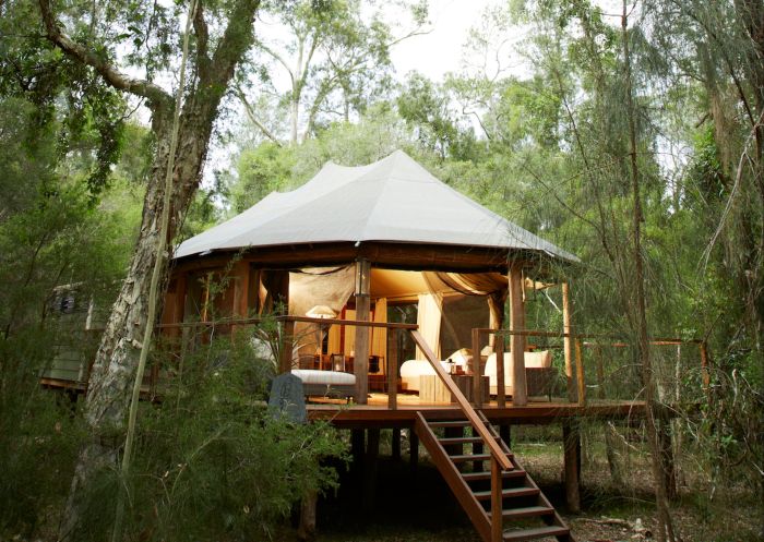 A Paperback Camp safari tent in tranquil bushland, Jervis Bay