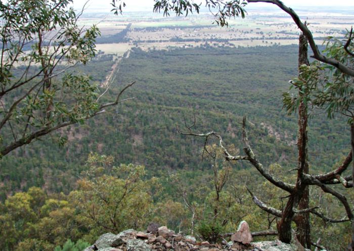 View of Goobang National Park from Burrabadine Peak, near Peak Hill