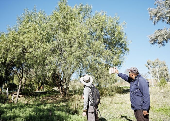 Aboriginal elder leading a tour around the Brewarrina Fish Traps