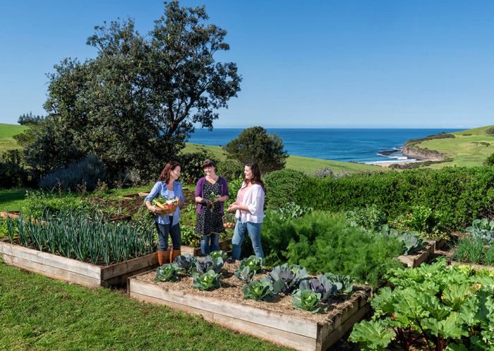 婦女們在格林貢的布埃納維斯塔農場享受了一天學習永續農業的樂趣。