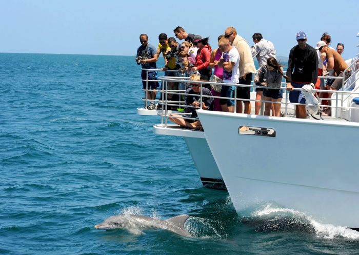 Dolphin watching with Jervis Bay Wild Whale Watching & Dolphin Cruises, Jervis Bay