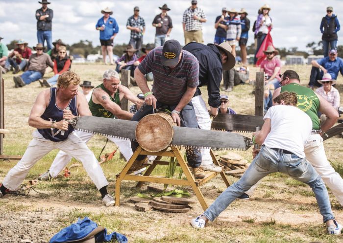 Sawyers competing in a wood chopping challenge at the 2017 Deni Ute Muster in Deniliquin, Riverina 