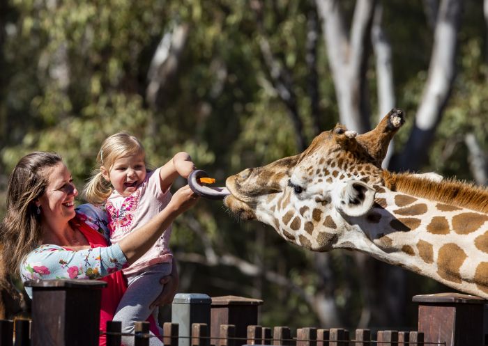 Mother and daughter enjoying the giraffe encounter at Taronga Western Plains Zoo in Dubbo, Country NSW