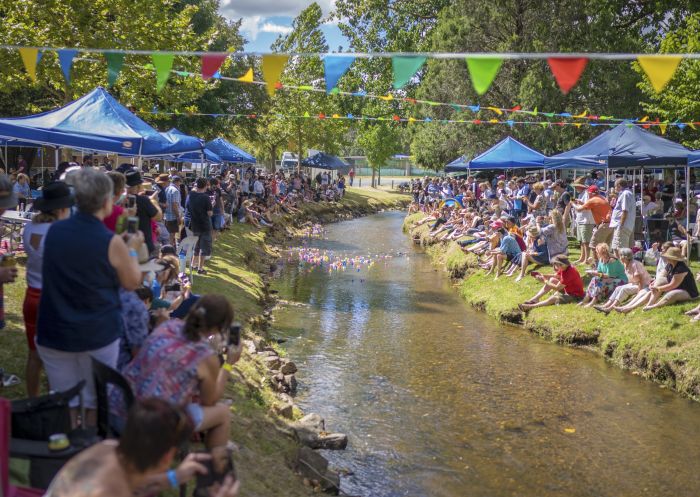 Crowds enjoying a day out at the 2018 Tumbafest event in Tumbarumba, Snowy Mountains