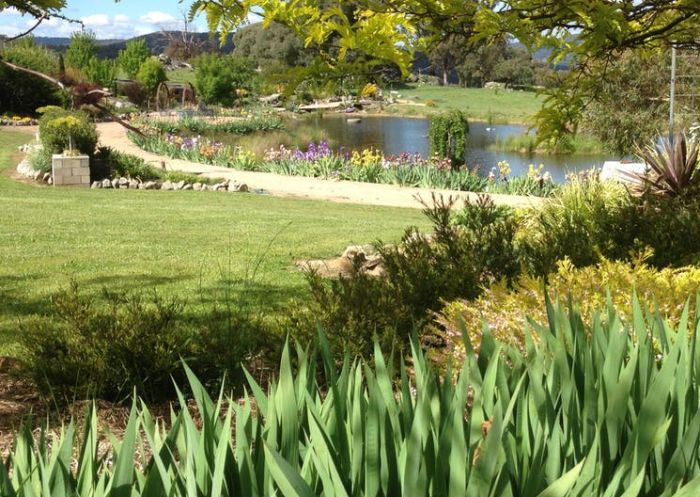 Iris walkway around the Massive Dam at Braymont Gardens in Tumbarumba, Snowy Mountains
