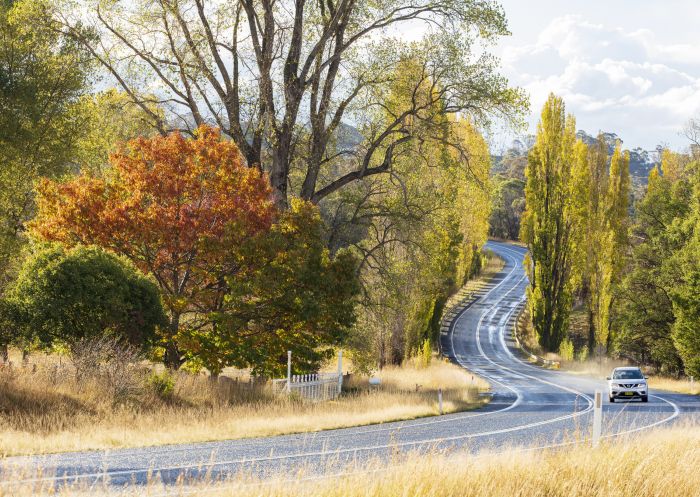 Autumn colours along the New England Highway near Glen Innes, Country NSW