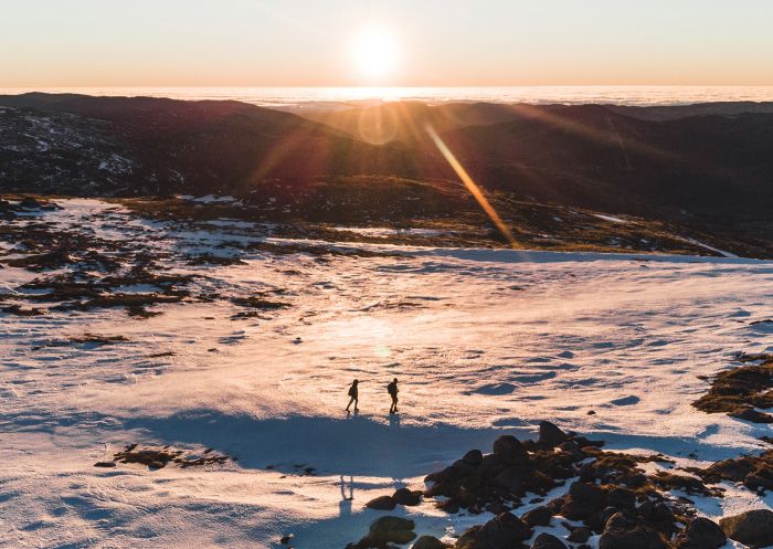 Bushwalking and Hiking in the Snowy Mountains, Backcountry, Kosciuszko National Park
