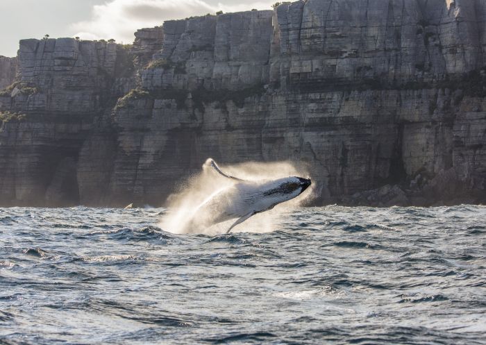 tour with Dive Jervis Bay, Jervis Bay