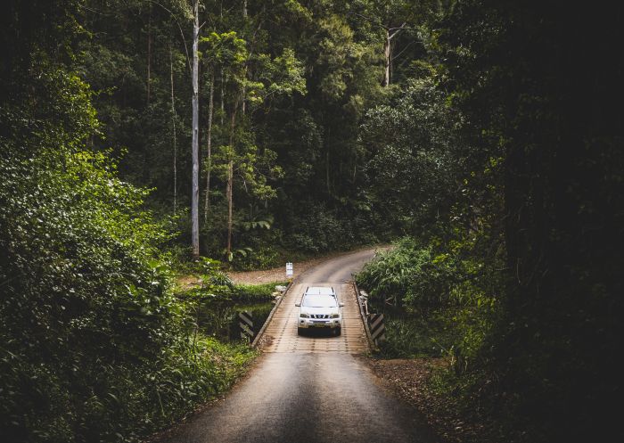 4WD driving through a scenic forest near Dorrigo, Coffs Coast, North Coast