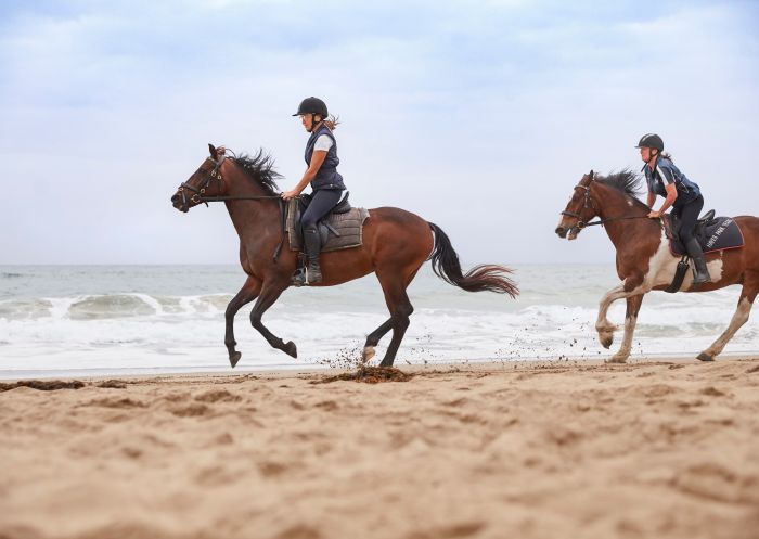Guests at Bangalay Villas enjoying a beach horse ride experience on Seven Mile Beach, Shoalhaven Heads