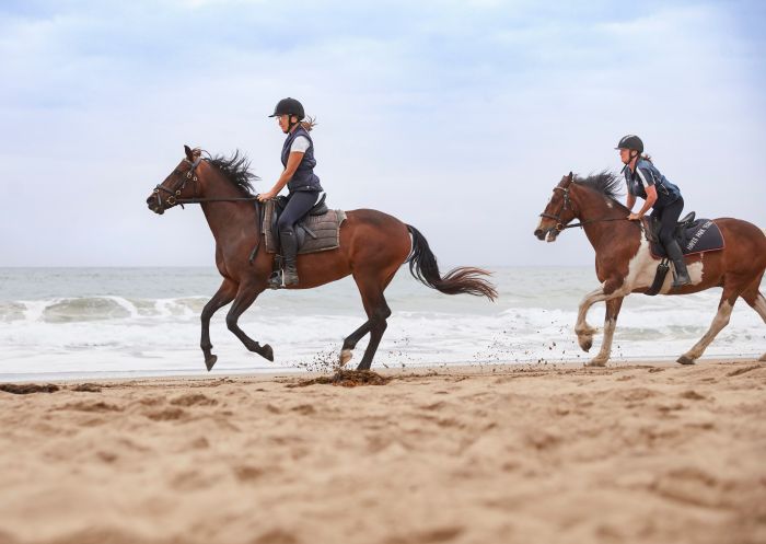 Bangalay Villas 的客人在肖爾黑文（Shoalhaven）文角七英里海灘享受海灘騎馬體驗