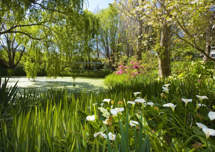 A pond in a garden with white lilies at Foxglove Gardens in Tilba Tilba, Eurobodalla - Credit: Jonathan Poyner | Capital Country Tourism