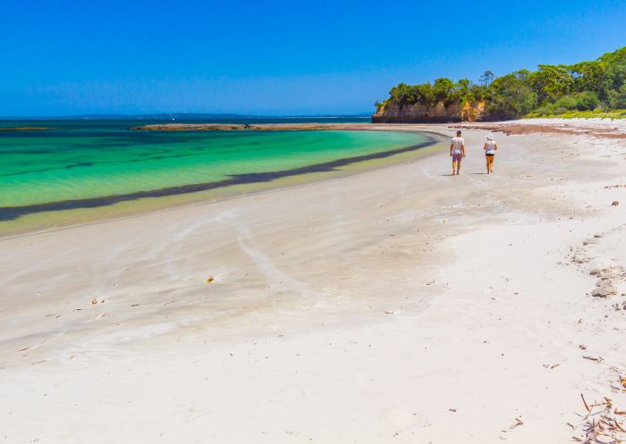 卡拉拉灣、杰維斯海灣（Jervis Bay）和肖爾黑文（Shoalhaven）的野兔灣，南岸（South Coast）