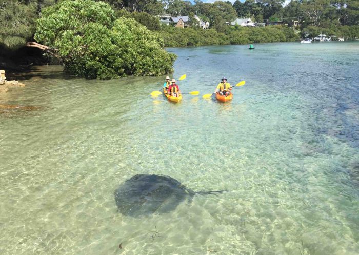 Kayak and SUP Hire with Region X in Broulee, Batemans Bay, South Coast