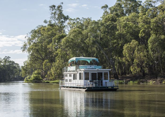  Houseboat paddling on the river, Edward River Houseboat, The Murray River