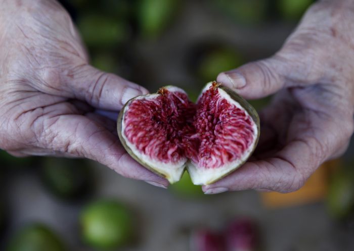 Fresh Figs at the Orange Farmers Market - Country NSW