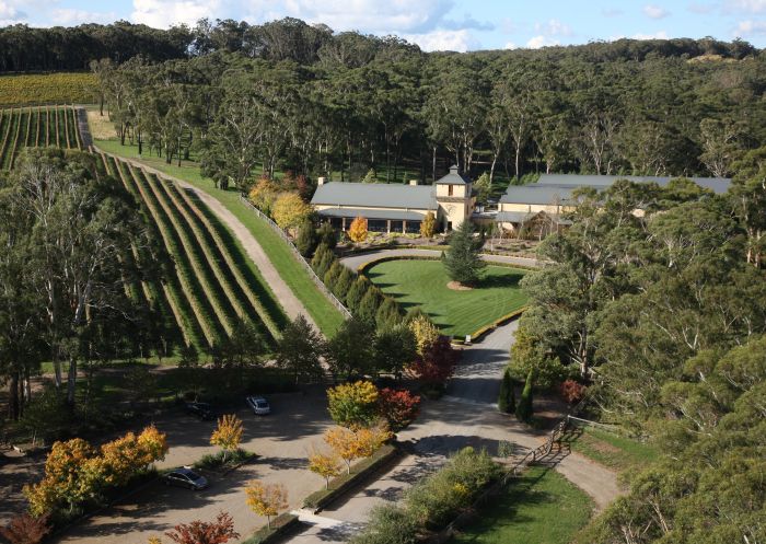Aerial view of Centennial Vineyards at Bowral in Southern Highlands, Country