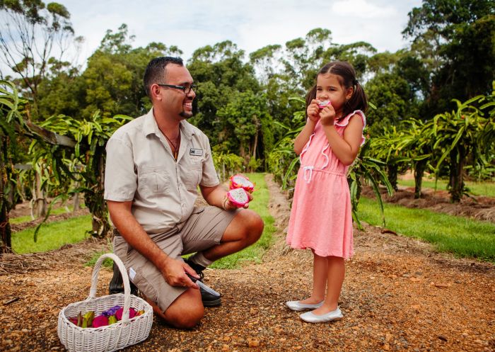 Girl samples the dragon fruit from Tropical Fruit World, Duranbah in Tweed Area, North Coast