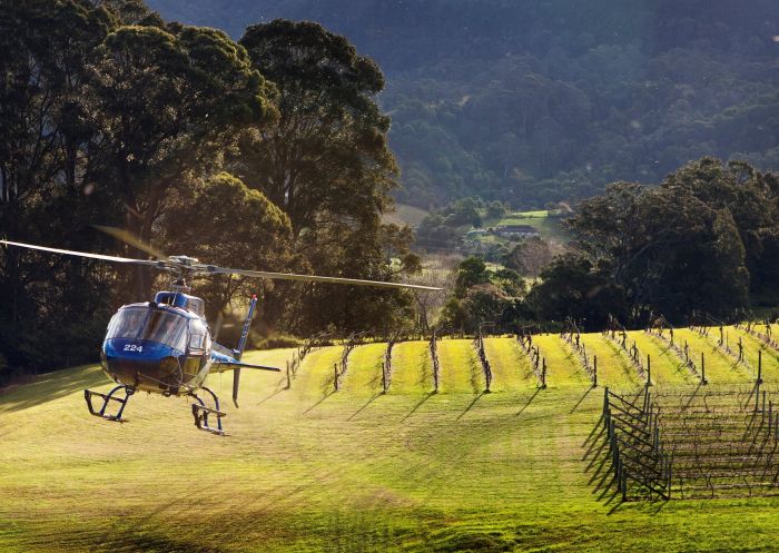 Silos Estate - Helicopter landing in the vineyard. Image Credit: Peter Izzard