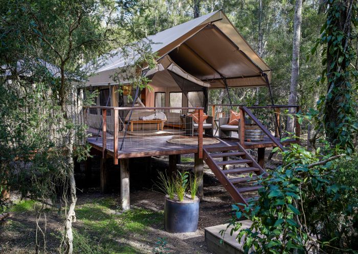 Luxury safari tent amongst the trees at Paperbark Camp in Jervis Bay