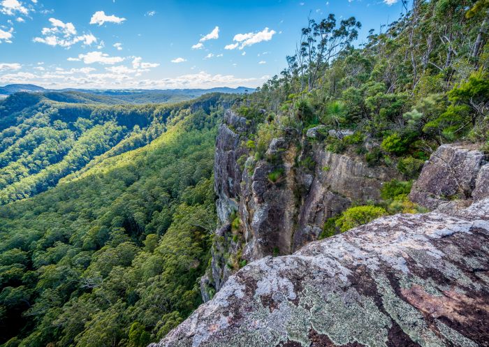 Coorabakh National Park in Forster & Taree, North Coast
