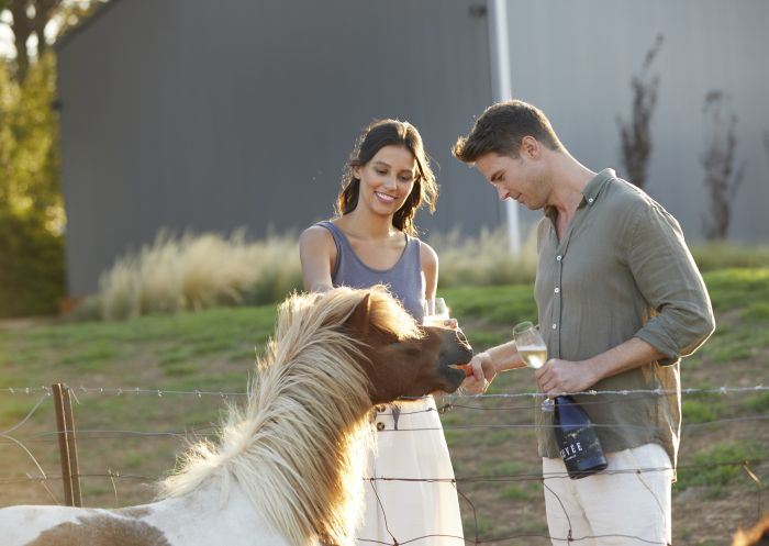 Couple meeting the resident pony at Rowlee Wines in Nashdale, Orange Area