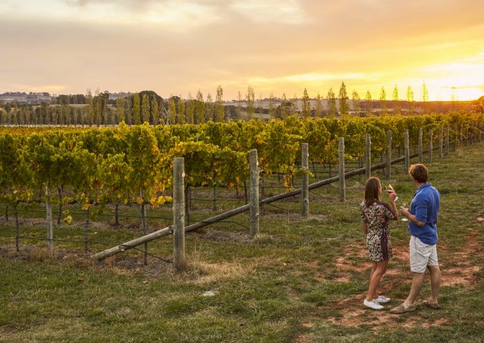 Couple sipping wine at sunset at Swinging Bridge Wines - Orange - Country NSW