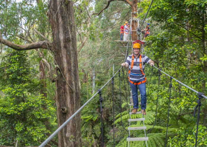 Man enjoying the scenery and action at Illawarra Fly Treetop Adventures, Knights Hill in the Illawarra region of NSW