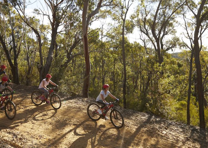 Family enjoying a day of mountain biking in the Blue Mountains National Park
