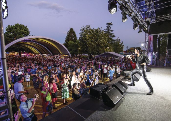 Crowd enjoying live entertainment at Parkes Elvis Festival 2018
