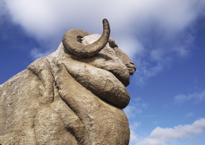 The Big Merino standing at 15.2 metres tall located in Goulburn, Country NSW