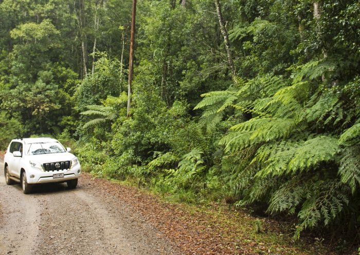 Car travelling through the scenic Guy Fawkes River National Park, Country NSW